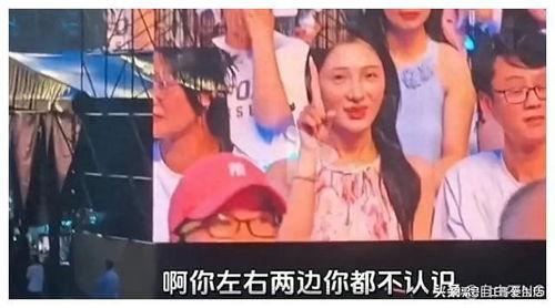 金子吃瓜有声小说,一场有声小说的奇幻冒险之旅
