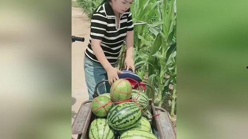 吃瓜妇女图片大全,趣味图片大全